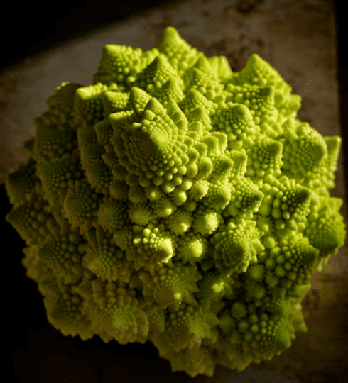 Romanesco vegetable dish